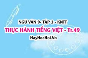 Soạn bài Thực hành Tiếng Việt trang 49 Ngữ văn lớp 9 tập 1 Kết nối tri thức